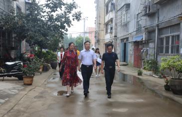 �����Ž�������������